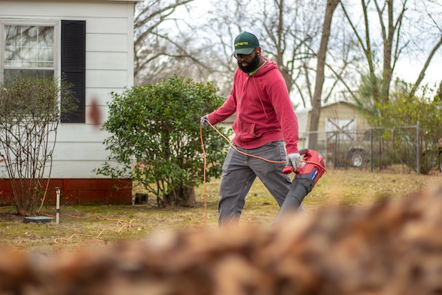 Garden Leaf Blowers